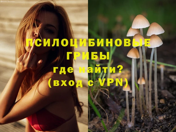 экстази Каменногорск