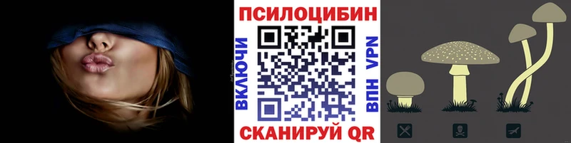 Галлюциногенные грибы ЛСД  как найти закладки  Котовск 