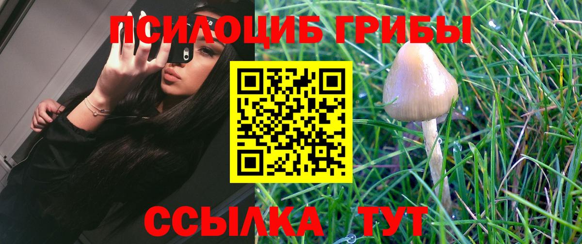 Котовск  Псилоцибиновые грибы Cubensis  Псилоцибиновые грибы мухоморы  Вход с VPN 