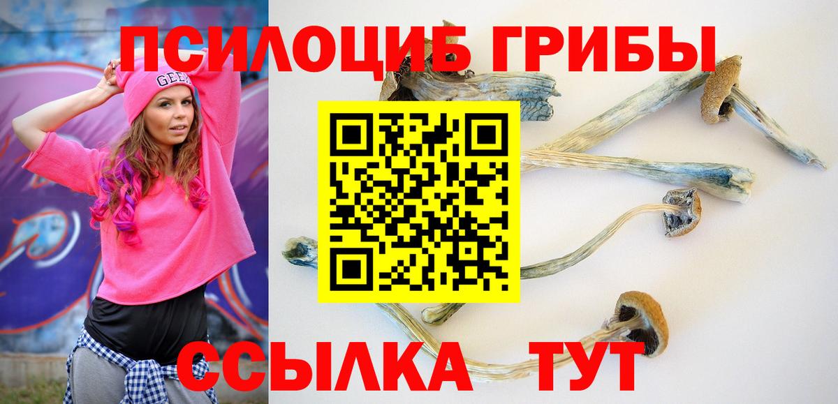 Галлюциногенные грибы прущие грибы Котовск