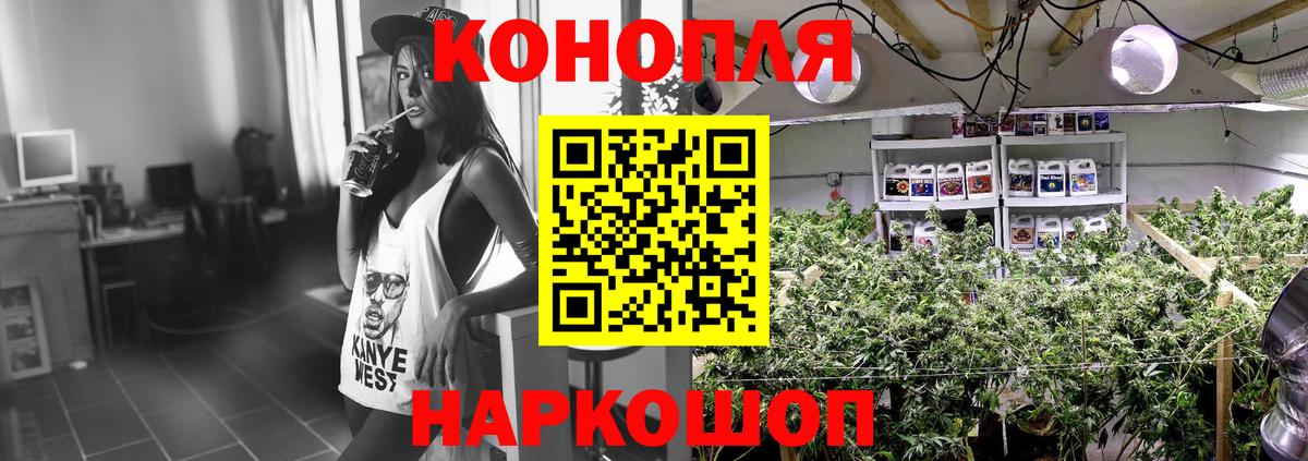 Бошки Шишки White Widow  Каннабис план  Котовск  Вход с VPN 